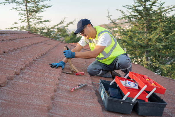 Best Roof Repair Services  in Rawlins, WY